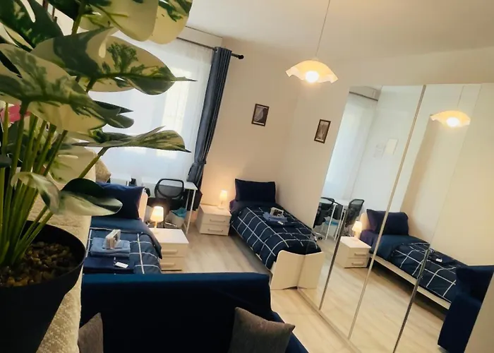 住宿加早餐酒店 Muzien